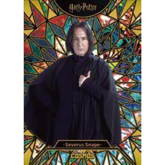 KakaWow 2025 Cosmos Harry Potter - Hobby Box